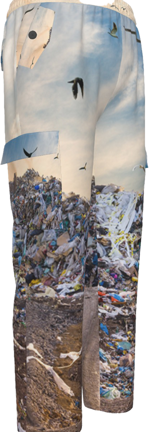Landfill Cargo Pants