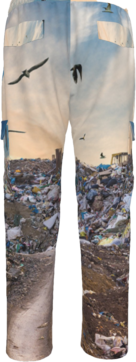 Landfill Cargo Pants