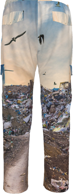 Landfill Cargo Pants